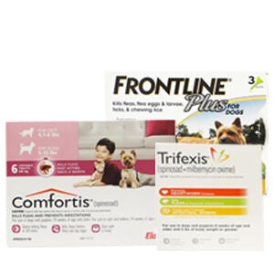 Flea & Tick