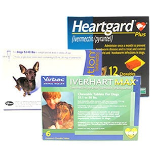 Dog Heartworm