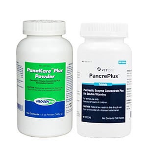 Cat Pancreatic Insufficiency