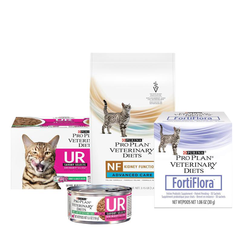 Purina Vet Diets For Cats