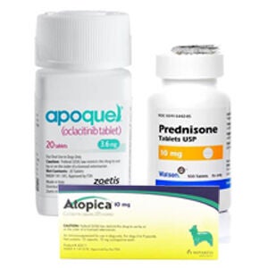 Pet Pharmacy Medications Allergys and Supplements Giant Eagle Pet Pharmacy