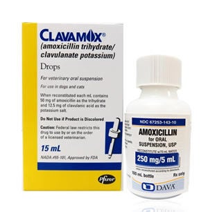 Cat Antibiotics
