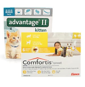Cat Flea & Tick