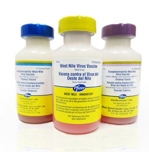Horse Vaccine