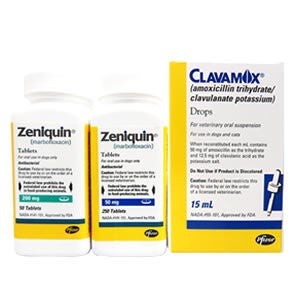 Cat Prescriptions