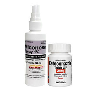Cat Fungal & Yeast Medication