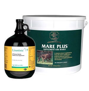 Mare and Foal Supplements