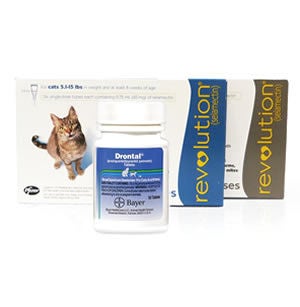 Cat Dewormers