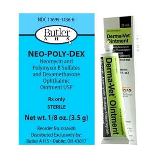 Cat Ear Antibacterial & Antifungal