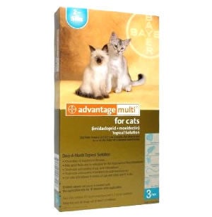 Cat Heartworm