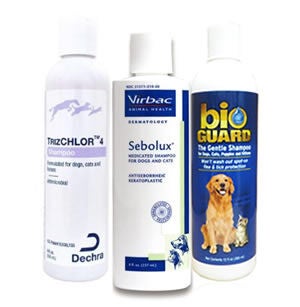 Shampoos