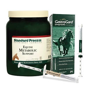 Horse Digestive & Ulcer