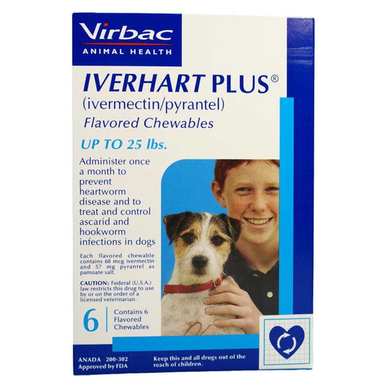 Iverhart Plus for Dogs